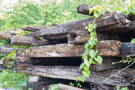 Group of old wooden sleeperの写真素材