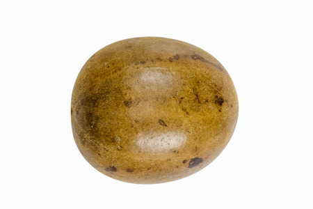 Sweet Fruit Used as Medicinal Herb isolated on whiteの写真素材