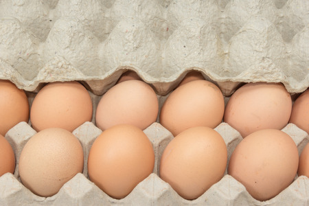 Eggs in paper tray