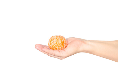Hand holding Peeled tangerine segments isolated on white backgroundの写真素材