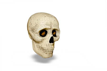 skull isolated on white backgroundの写真素材