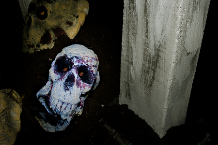 skull in graveyard, filter effect.の写真素材