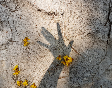 hands shadow with yellow flowers on stone backgroundの写真素材