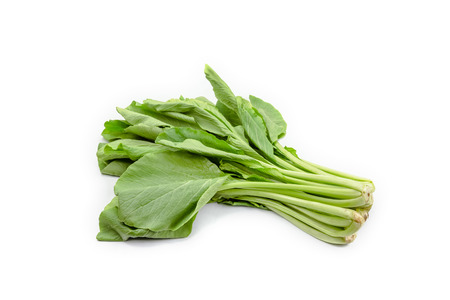 Pakchoi, Chinese cabbage on backgroundの写真素材