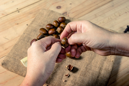 hand holding fresh chestnuts with sack bag backgroundの写真素材