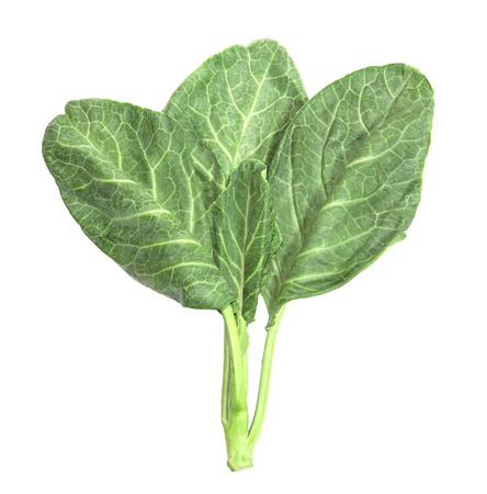 leaves of collards on background,Chinese kaleの写真素材