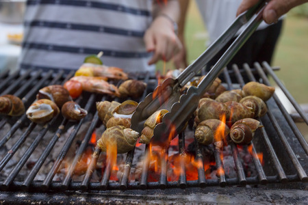 Dinner barbecue with grilled spotted babylon on charcoal stoveの写真素材