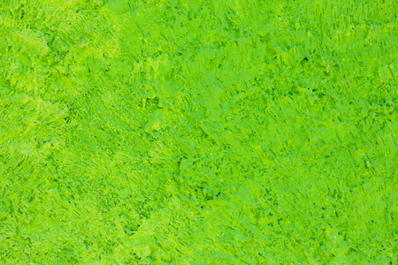 green cement wall or floor textured,Abstract backgroundの写真素材
