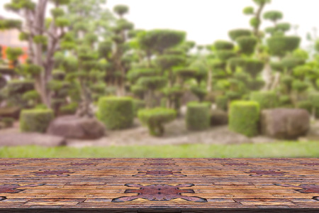 Top desk with blur bonsai trees background,wooden tableの写真素材