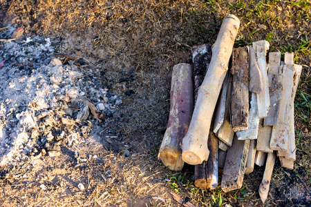 firewood and ashes with sunlight morning