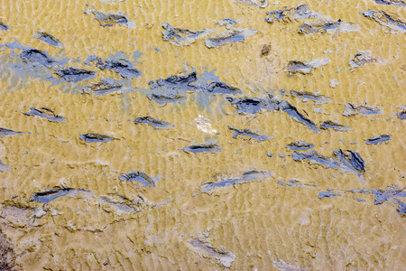 Foot prints on a clay beach