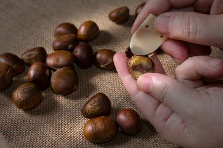 hand holding fresh chestnuts with sack bag backgroundの写真素材