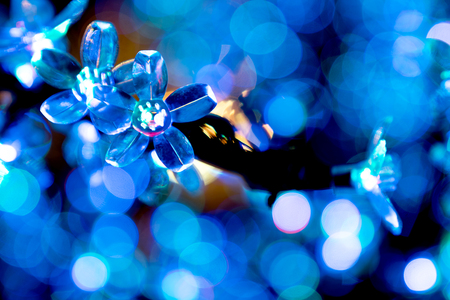 Ornamental flower with blue bokeh lights of Christmas lights and New yearの写真素材