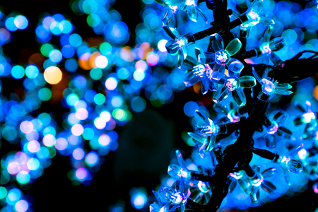 Ornamental flower with blue bokeh lights of Christmas lights and New yearの写真素材