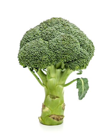 broccoli isolated on white backgroundの写真素材