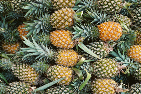 Pineapple background,tropical fruit juicy in thailandの写真素材