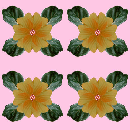 colorful leaves pattern for nature concept,tropical exotic plant leaf,seamless background for...