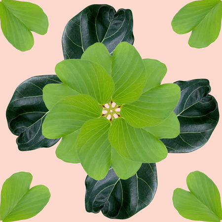 tropical exotic plant leaf,seamless background for textile and fabric design