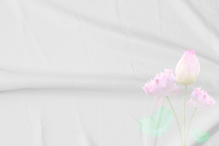 white fabric texture soft blur backgroundの写真素材