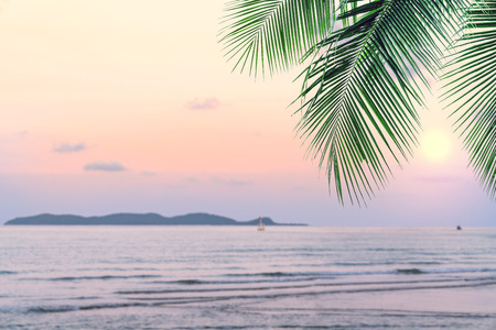 summer sea with leaves palm at sunset and copy space,sky relaxing concept,beautiful tropical background for travel landscapeの写真素材