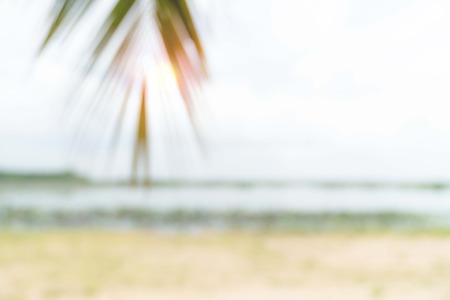 Blur summer sea with beach and coconut leaves and copy space for travel landscape conceptの写真素材