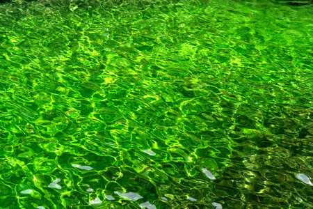 condition green water reflecting in the sun