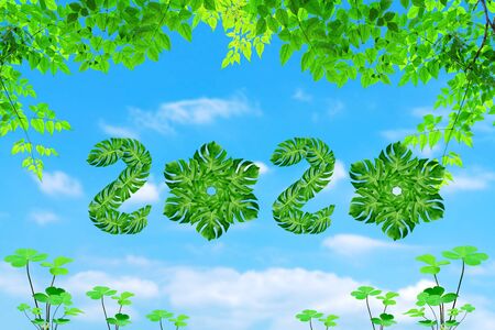 word 2020 spelled with leaf monstera and blue sky and white cloud background