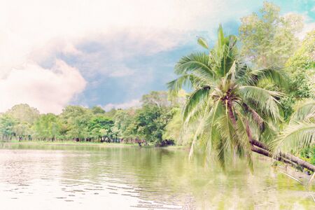 Coconut trees on the River side ,watercolor digital painting styleの写真素材