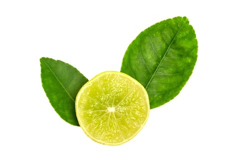 Yellow lemon slice and leaves isolated on white backgroundの写真素材