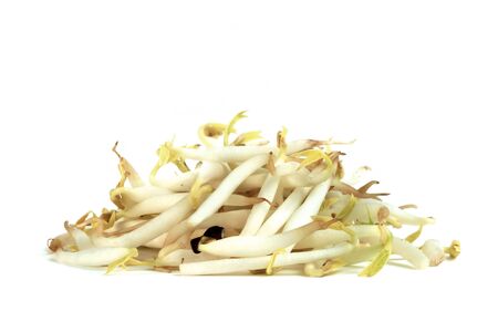 Bean Sprouts isolated on white backgroundの写真素材