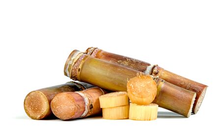 sugar cane isolated on white backgroundの写真素材