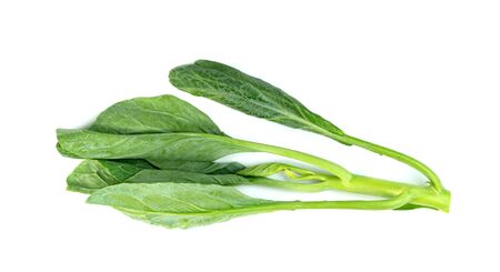 Chinese kale isolated on white background ,Green leaves of collards pattern