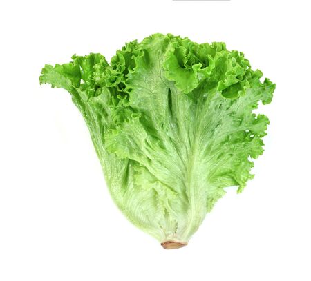 Lettuce leaf isolated on white background ,Green leaves pattern ,Salad ingredientの写真素材