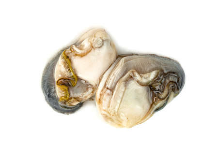 Oysters isolated on a white background