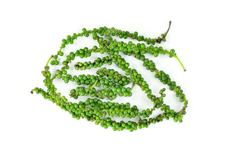 Fresh Peppercorn or Piper nigrum Linn isolated on white backgroundの写真素材