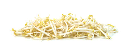 Bean Sprouts isolated on white backgroundの写真素材