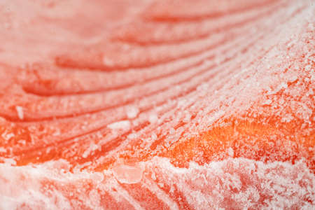 closeup piece of frozen salmon filletの写真素材