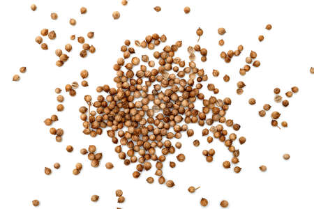 dried coriander seeds isolated on white background ,top viewの写真素材