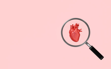 3d realistic human heart with magnifying glass isolated on pink background. health check concept, 3d illustration renderの写真素材