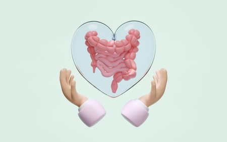 3d hands holding intestine in heart transparent isolated on green background. check intestine health concept, 3d illustration renderの写真素材