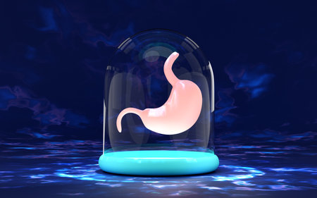3d stomach human transparent in glass dome isolated on blue background. 3d illustration renderの写真素材