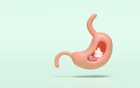 3d human stomach with stomach acid, gas isolated on green background. gastric disease concept, 3d illustration renderの写真素材