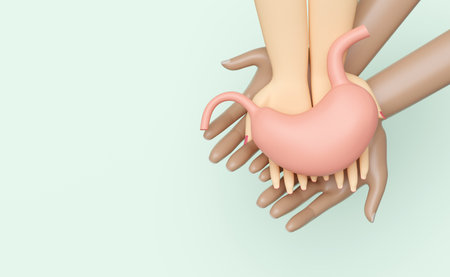 3d hand male female with human stomach isolated on green background. check stomach health concept, top view, 3d illustration renderの写真素材