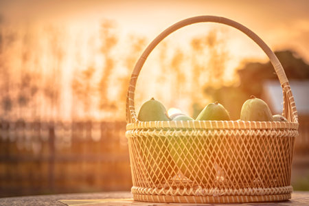 mango in basket and sunsetの写真素材