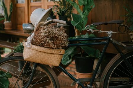 vintage bicycle on vintage wooden house wallの写真素材