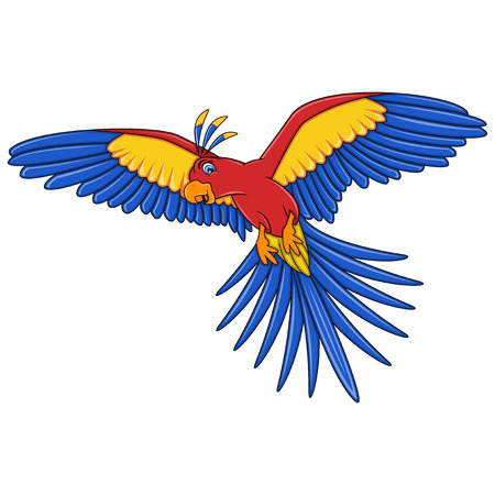 Flying Parrot cartoonのイラスト素材