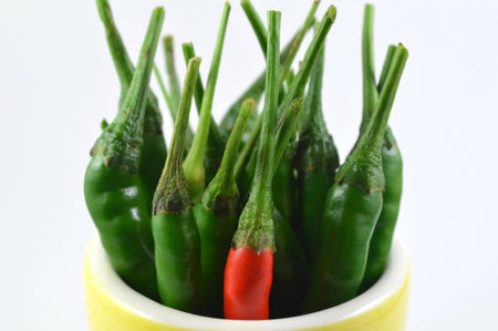 The chili from central of Thailandの写真素材