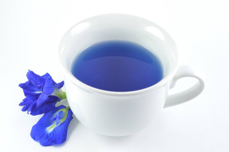 Asian pigeonwings flower drinkの写真素材