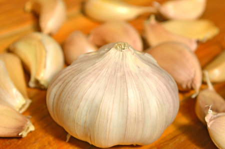 Garlic on wooden backgroundの写真素材