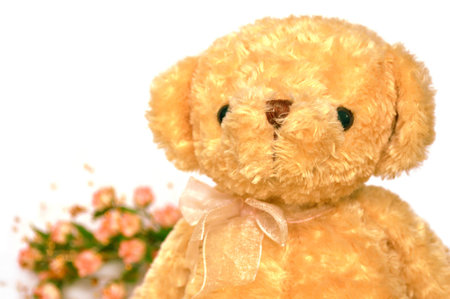 Brown bear doll on white backgroundの写真素材